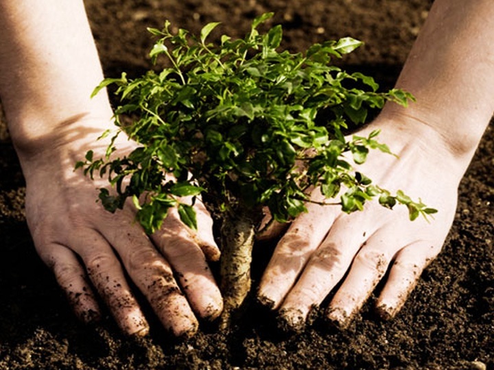 Andere Dienstleistungen